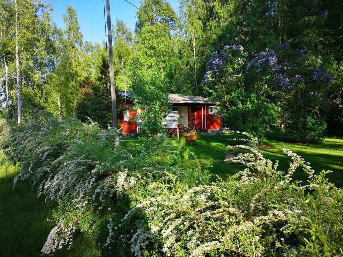 Koivuniemi Cottage Sakyla Exterior foto